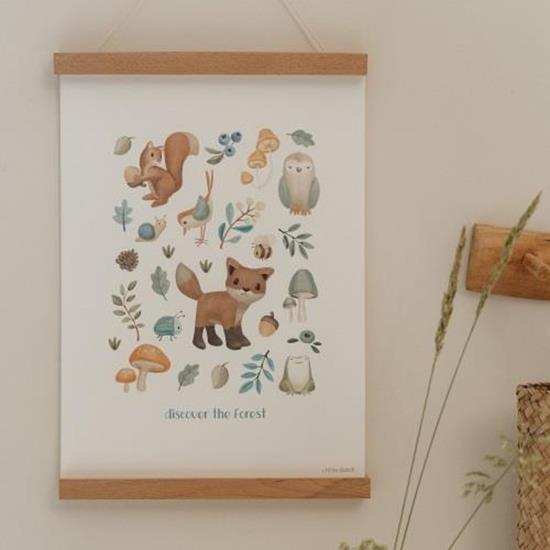 Poster Forest Wonders - A3