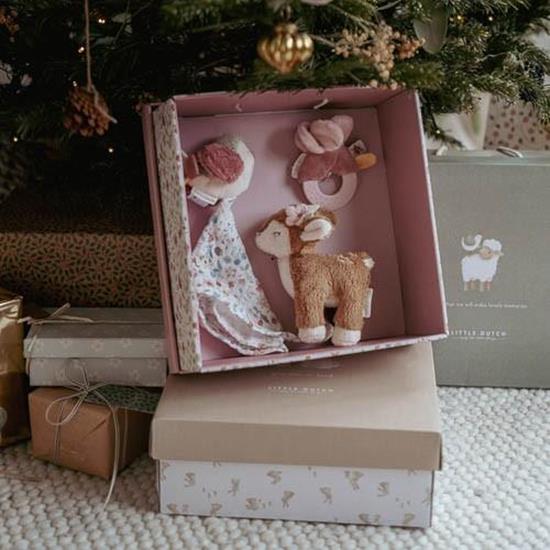 Gift box Fairy Garden