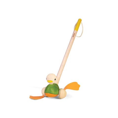 Papera da spingere