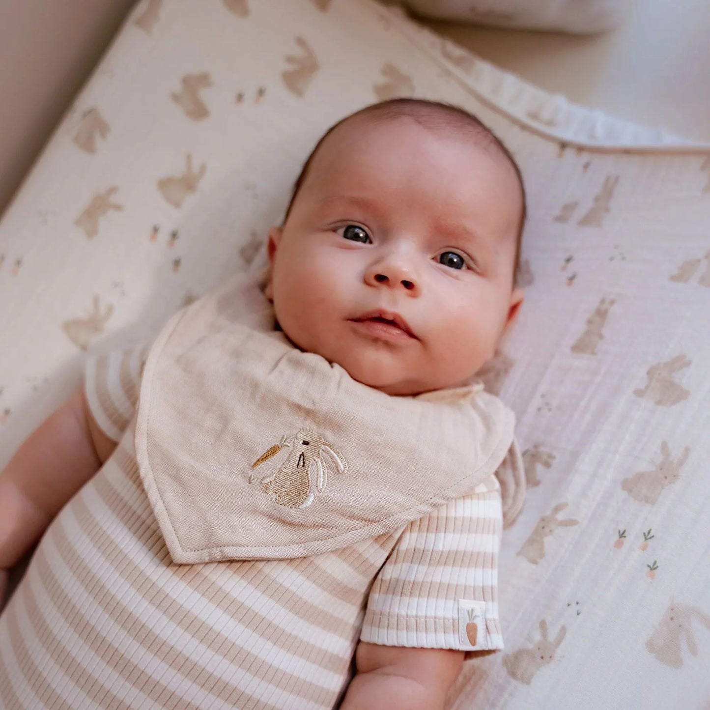 Bavaglino bandana confezione da 2 - Bianco - Newborn Naturals - Baby Bunny