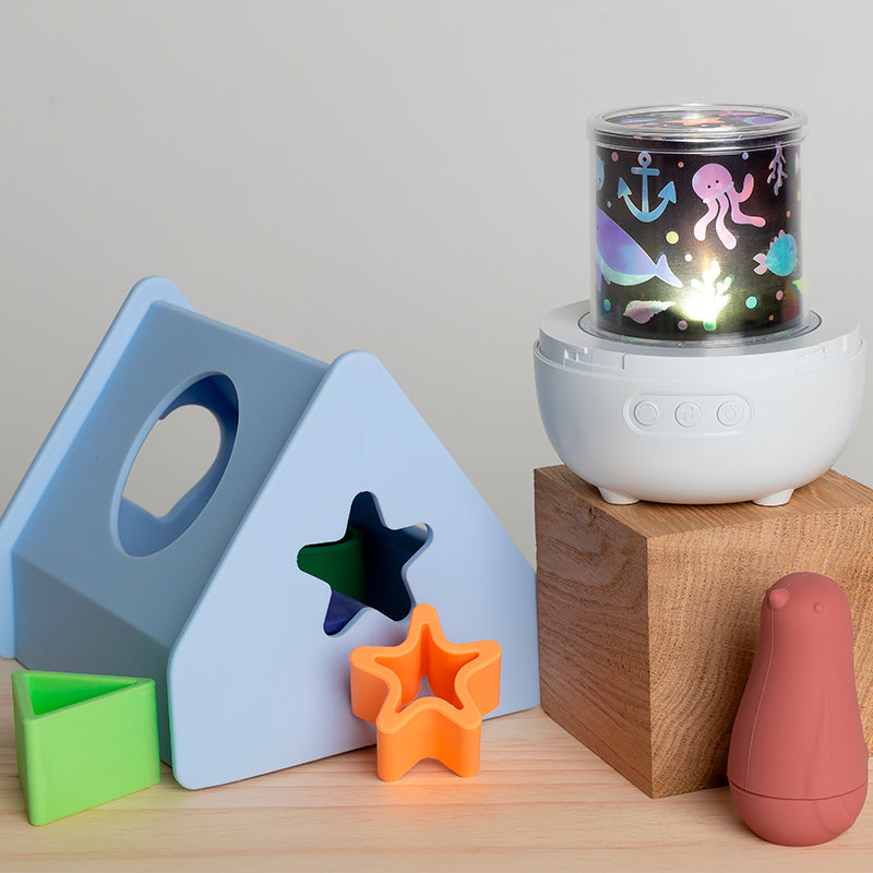 Little L - HOUSE SHAPE SORTER