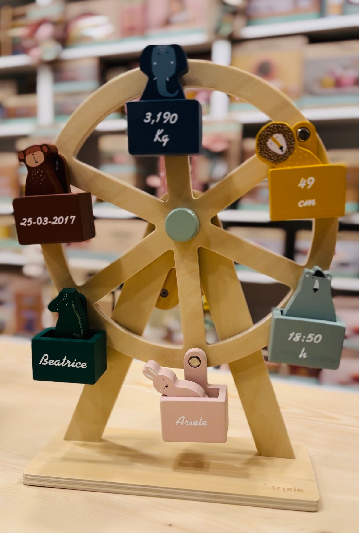 Ruota panoramica in legno - Ferris Wheel - giostra