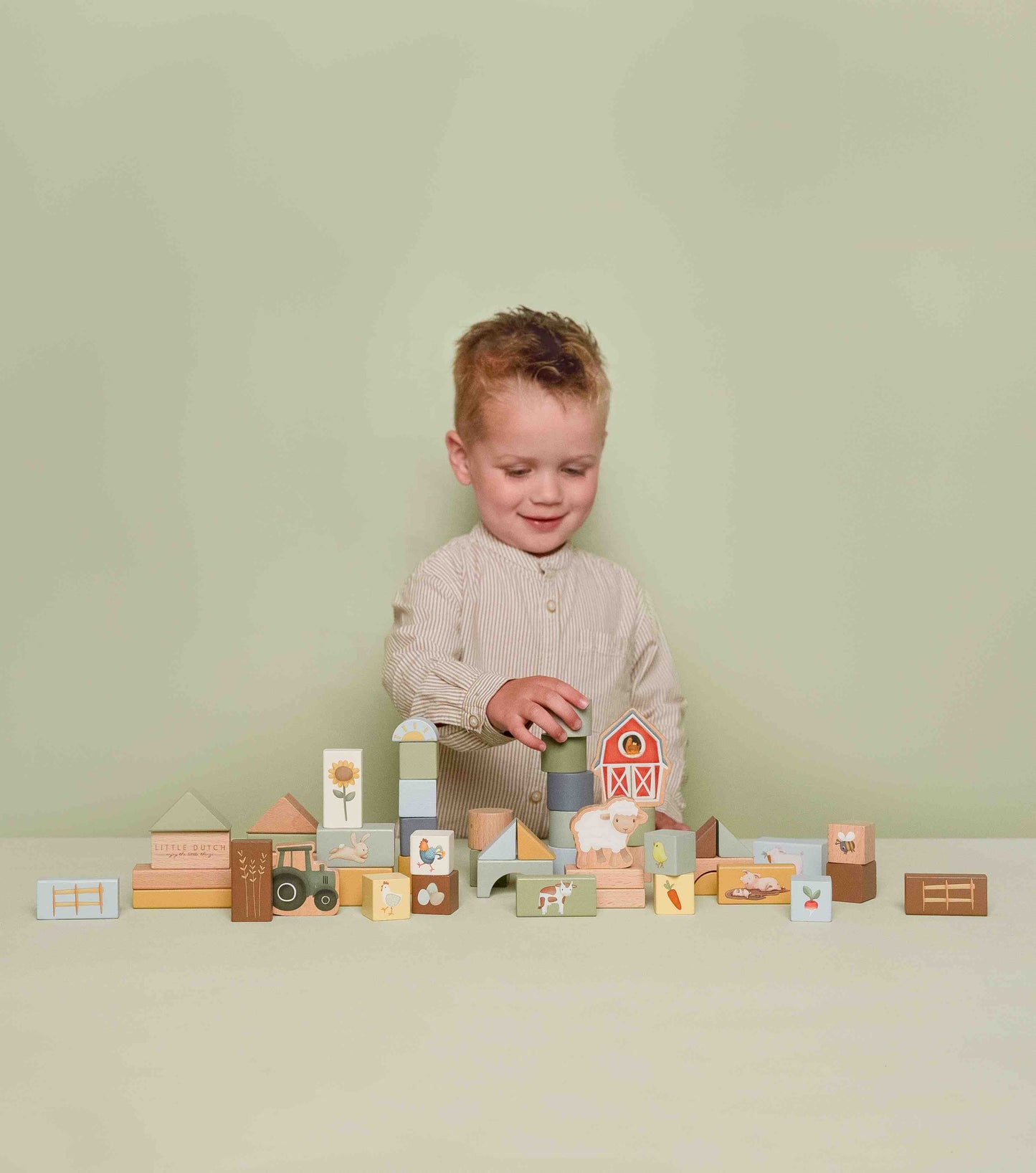 Cubetti da costruzione Little Farm