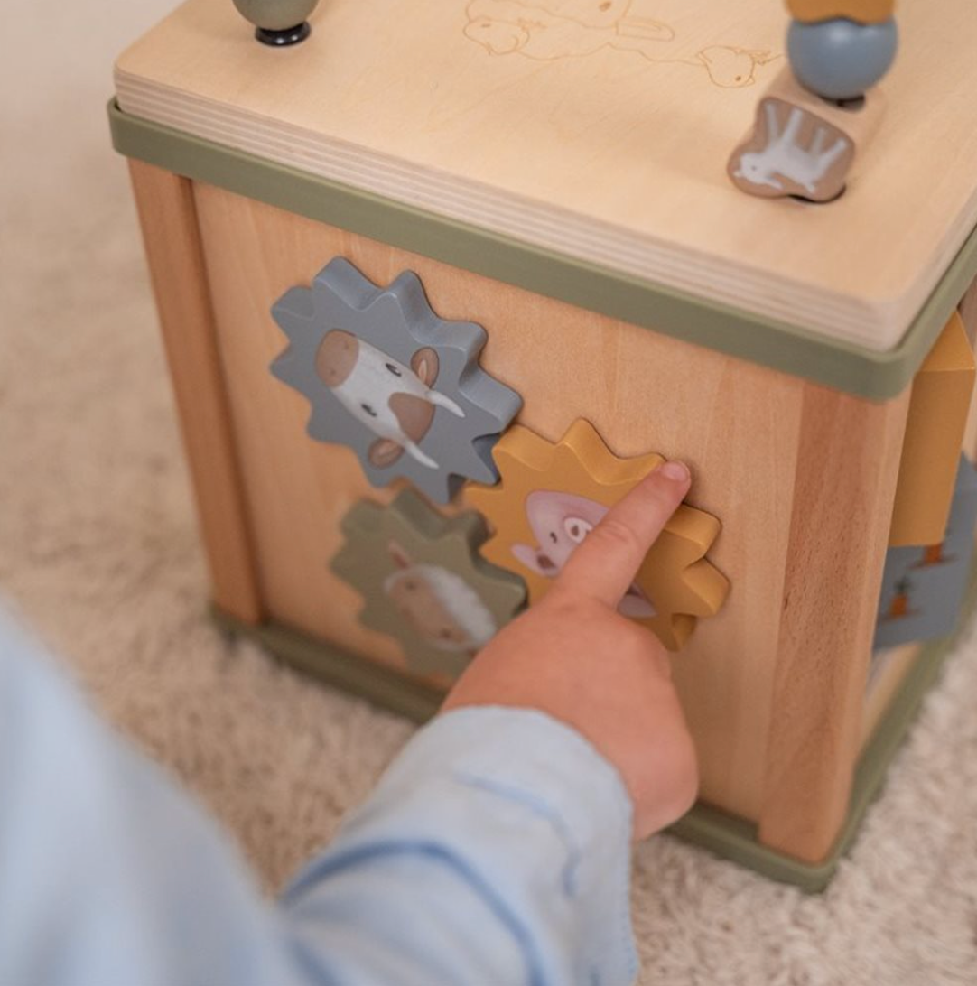 Activity Cube - Cubo multiattività FSC Little Farm