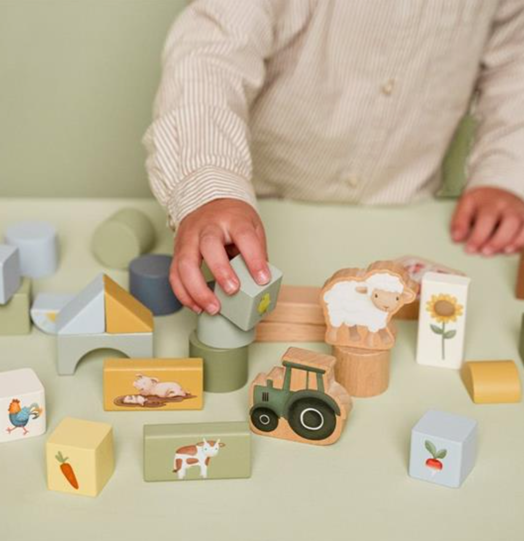 Cubetti da costruzione Little Farm