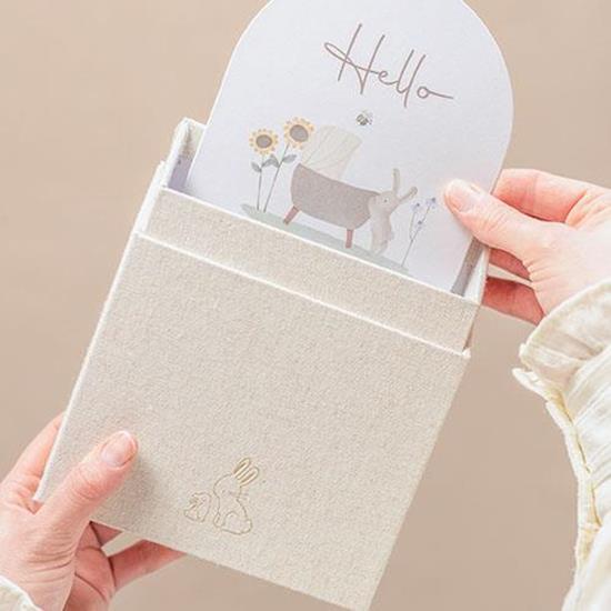 Little Dutch Carte Milestone delle tappe fondamentali - Baby Bunny