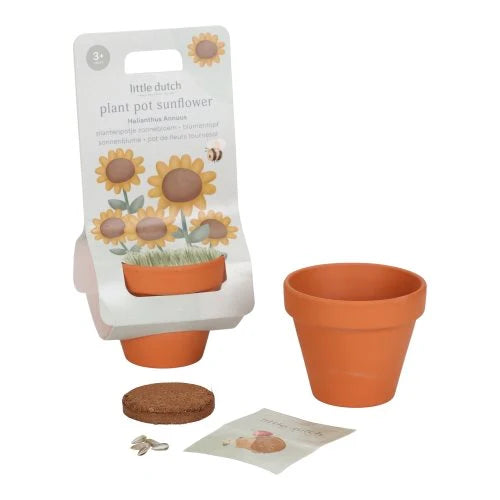 Vasetto per girasoli - Little Dutch