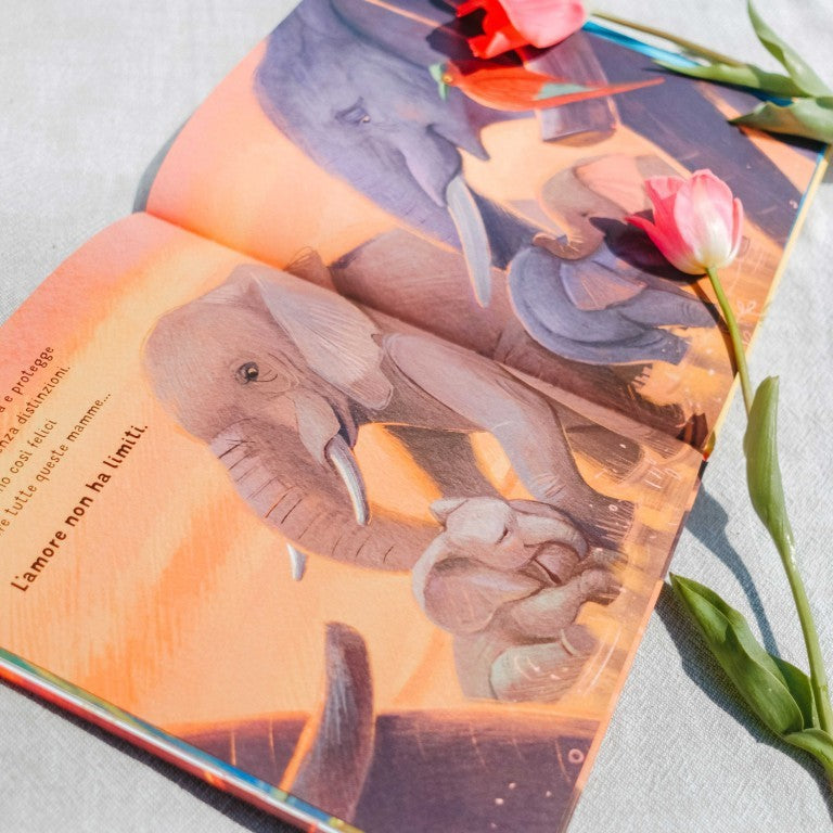Le infinite forme dell'amore - Sassi