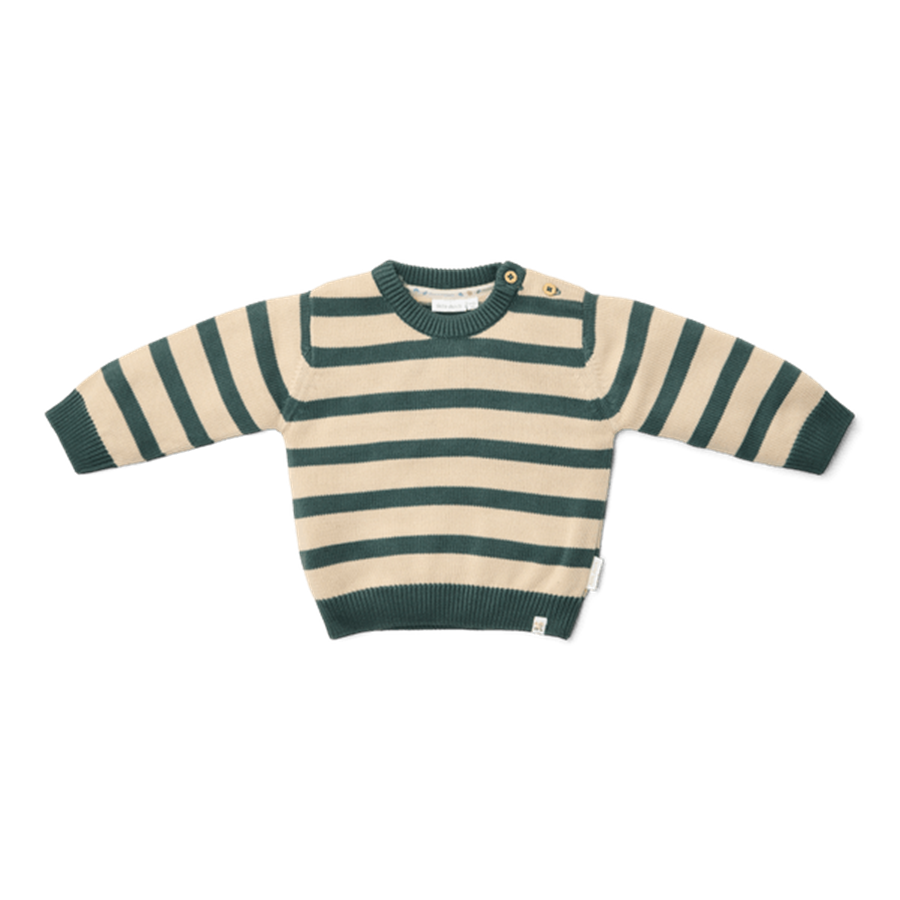 Maglione lavorato a maglia Little Dutch Balsam Green Stripe