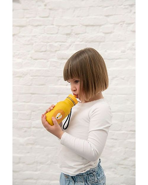 Borraccia trixie in Acciaio Inox - 500 ml mr Lion - giallo