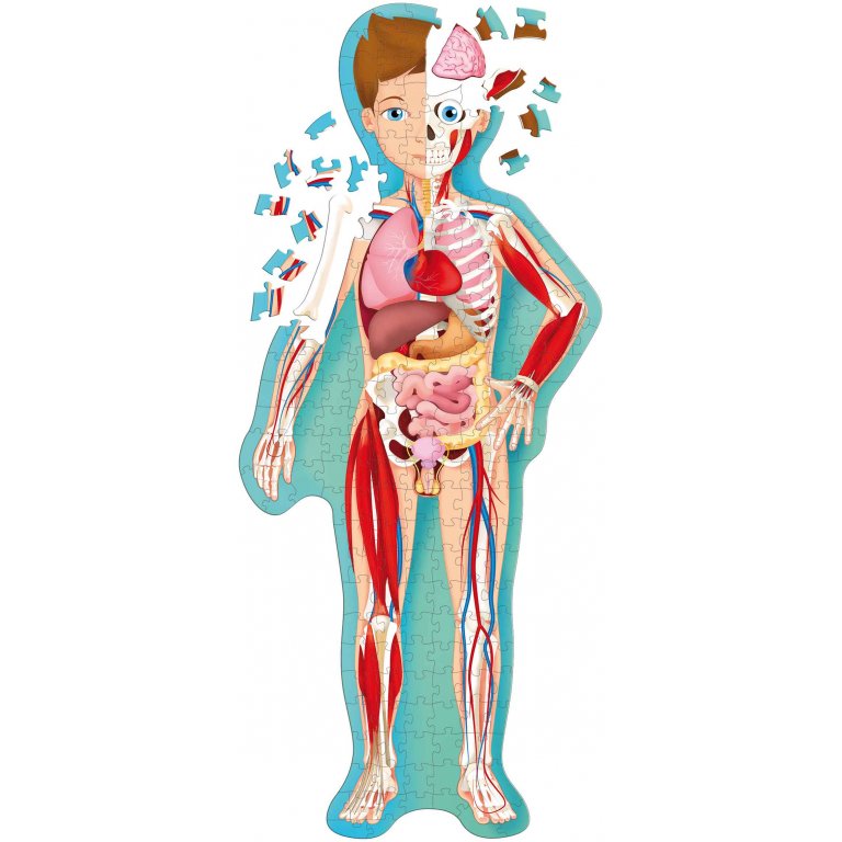 Viaggia, conosci, esplora. Il corpo umano