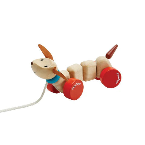 Cagnolino felice da tirare