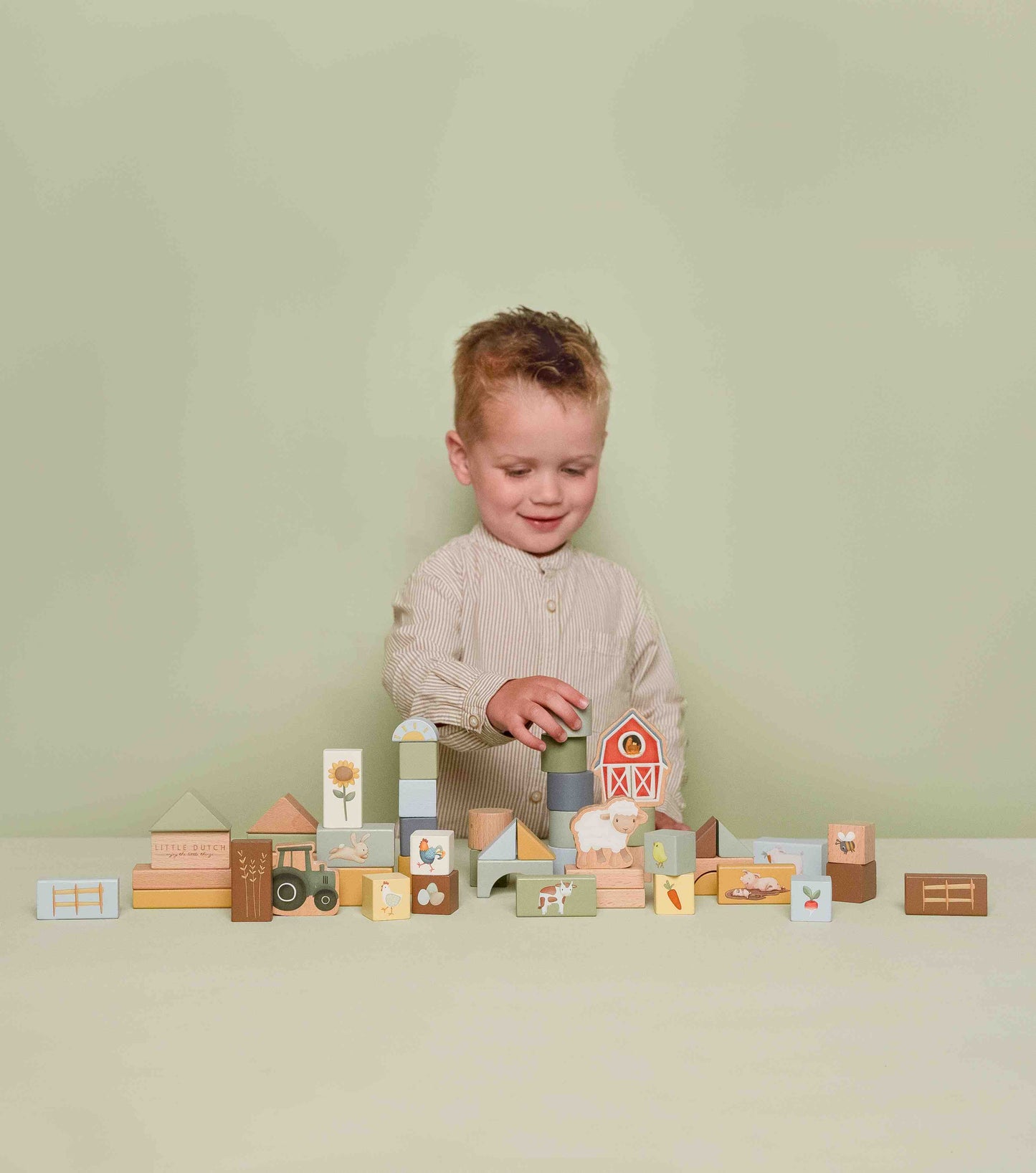 Building Blocks Little Farm.jpg mattoncini