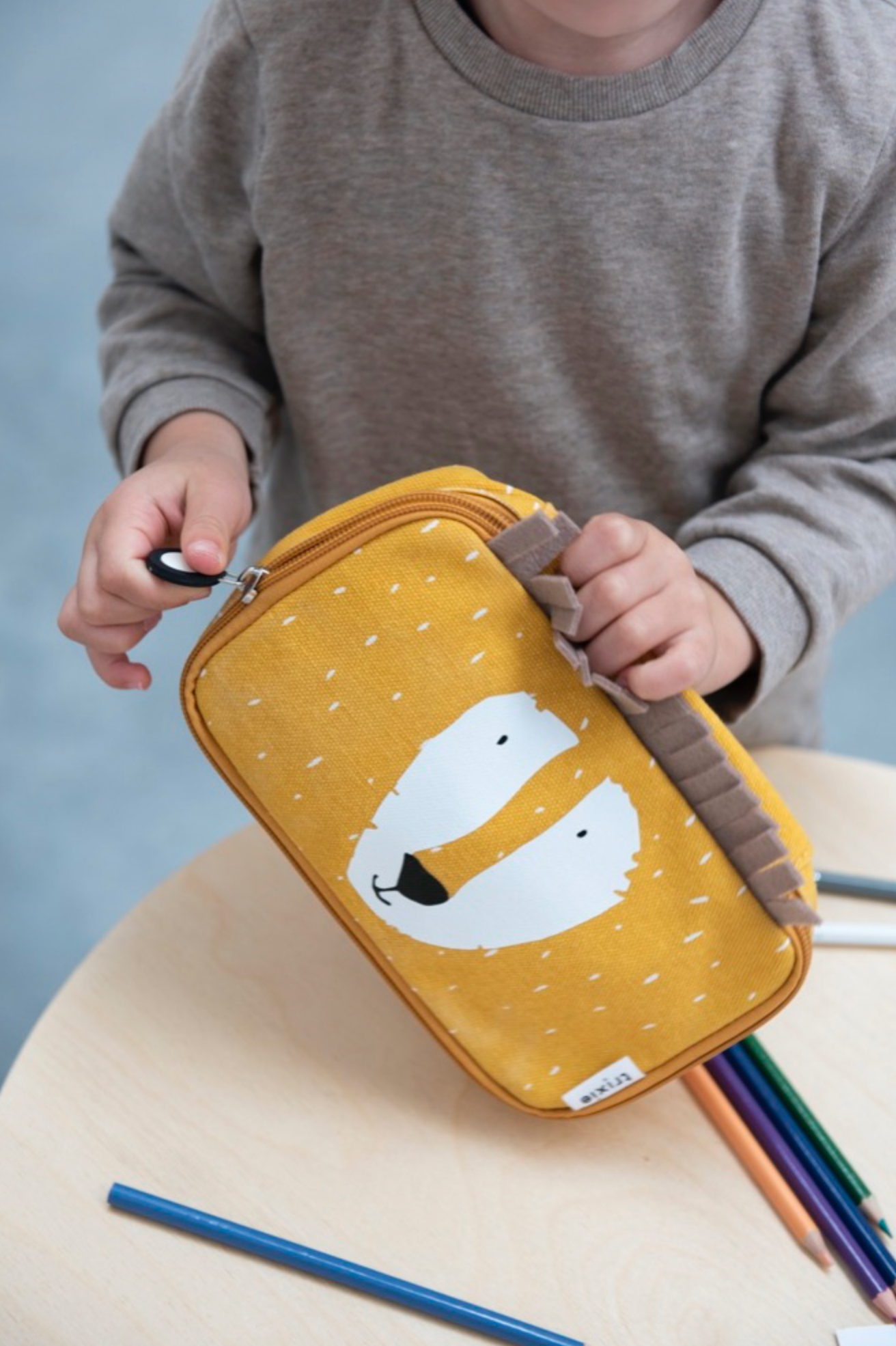 Pencil case rectangular - Mr. Lion - Leone