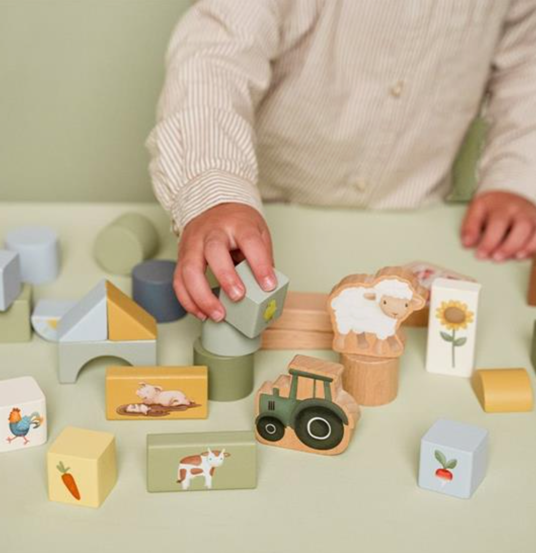 Building Blocks Little Farm.jpg mattoncini