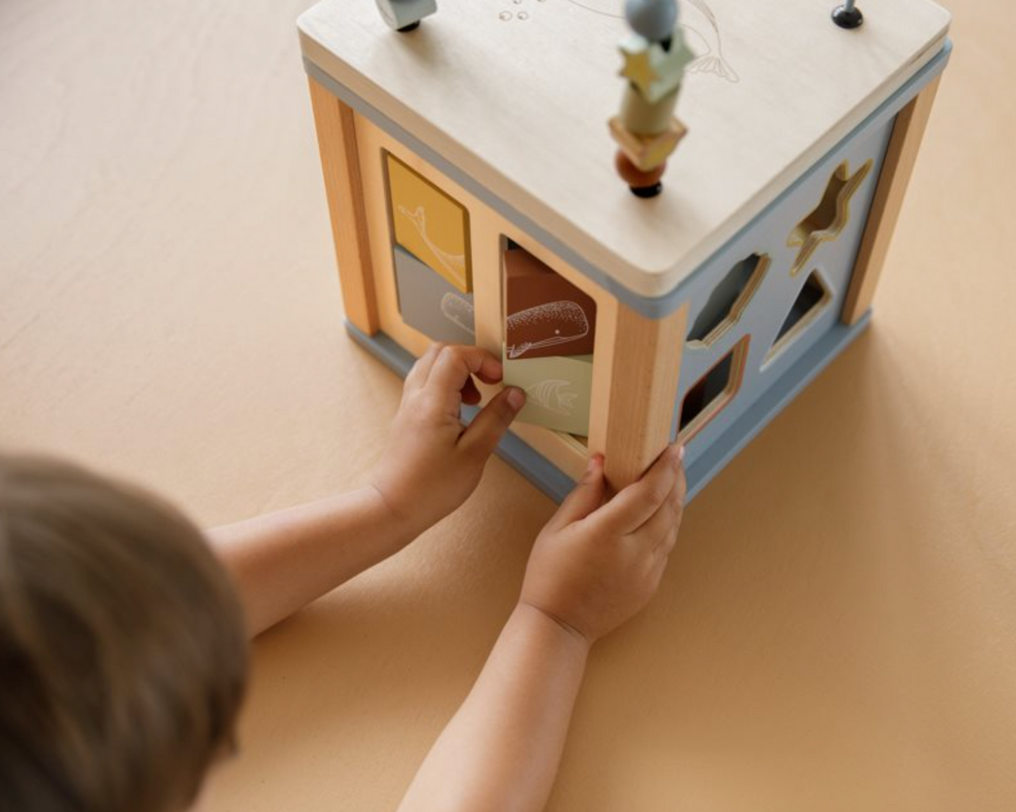 Activity Cube - cubo multi-attività ocean