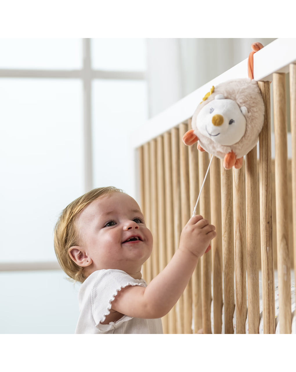 Mini carillon zoe il riccio - nattou