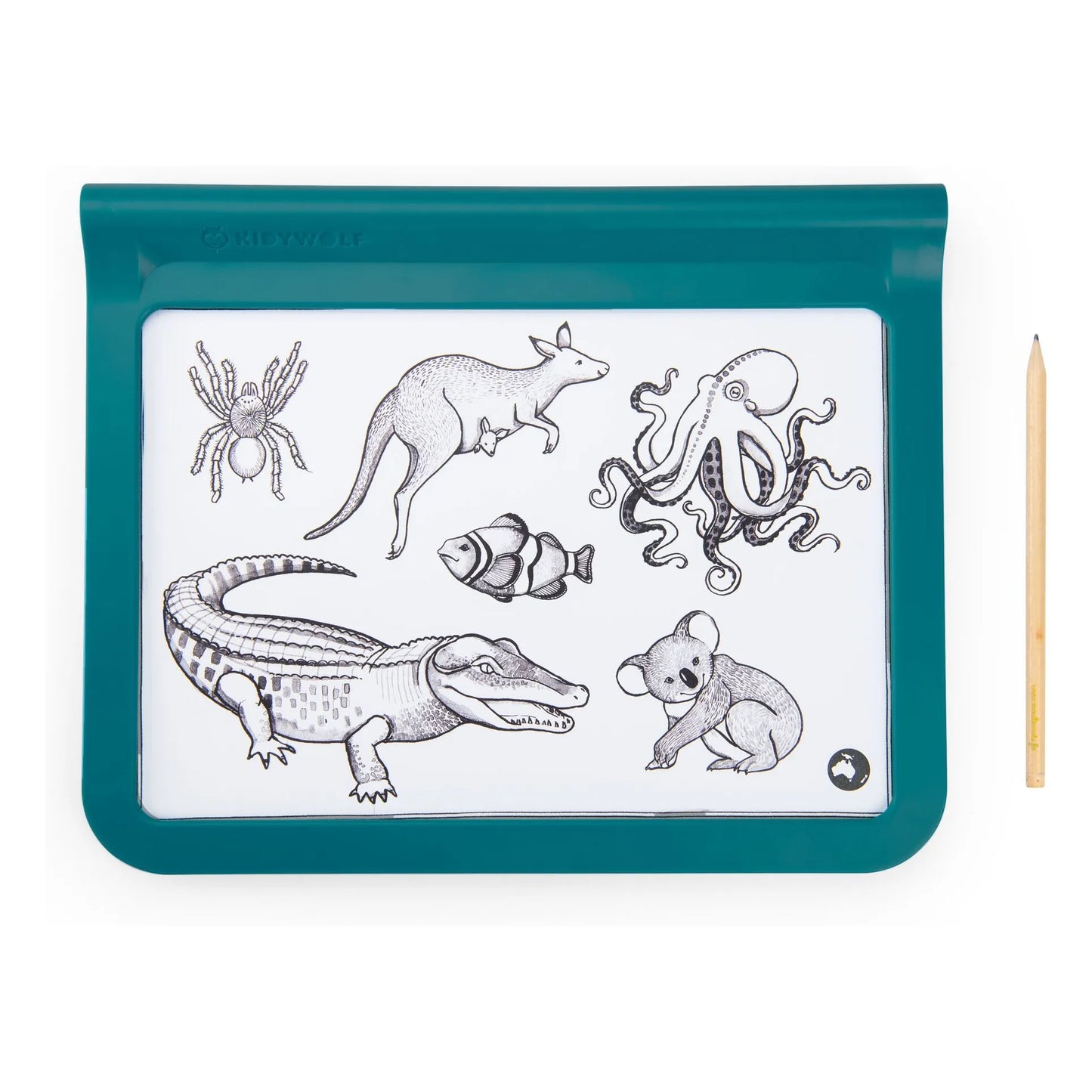 Mica-Moulin Roty  Tavoletta luminosa educativa - Moulin Roty x Kidywolf