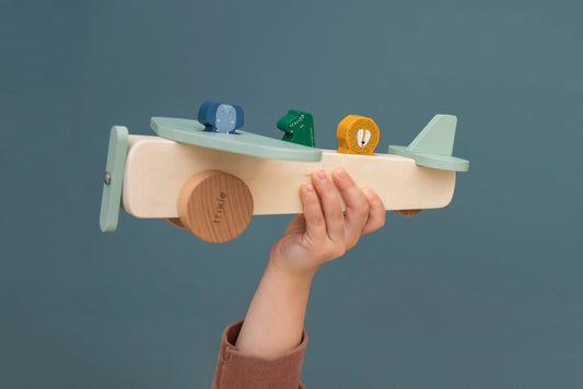 Wooden Animal Airplane