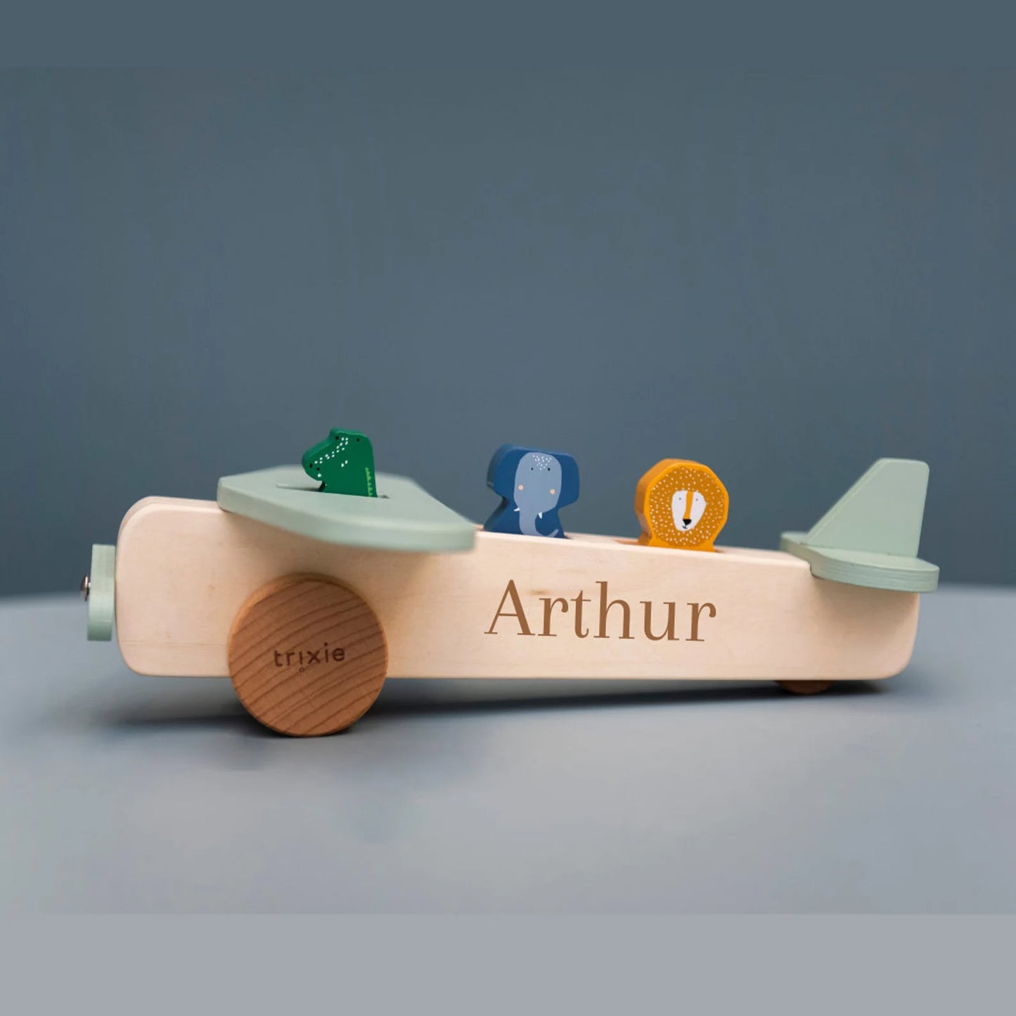 Wooden Animal Airplane