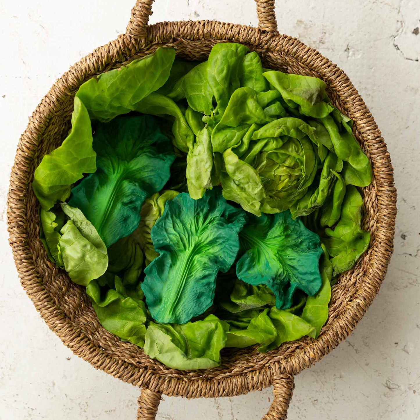 Kendall the Kale Massaggiagengive-Oli&Carol