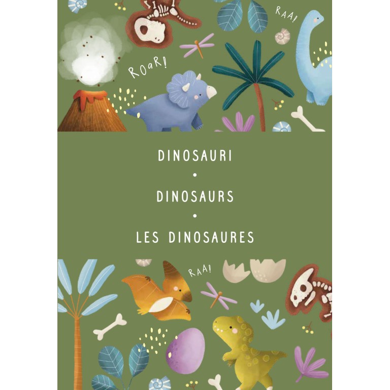 Magnetic box set. Dinosauri
