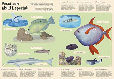 Enciclopedia del mare per piccoli lettori
