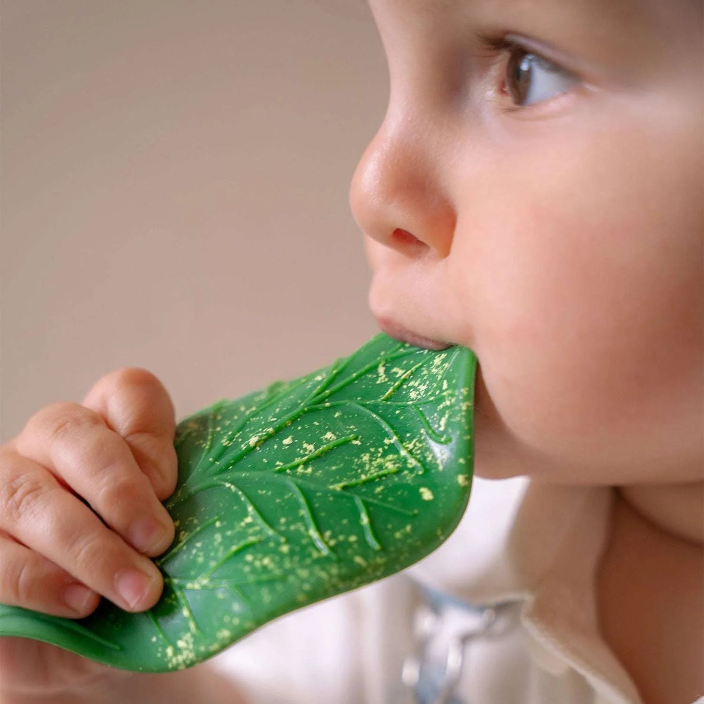 Chlorophyll Leaf Massaggiagengive