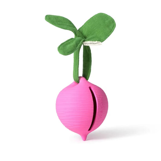 Ramona the Radish Pacifer Case – Oli e Carol