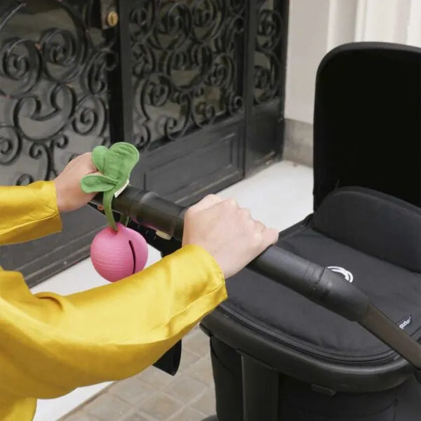 Ramona the Radish Pacifer Case – Oli e Carol