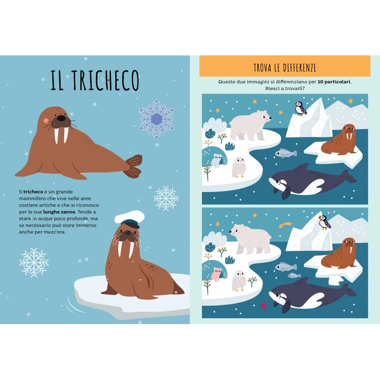 Stickers e attività. I ghiacci